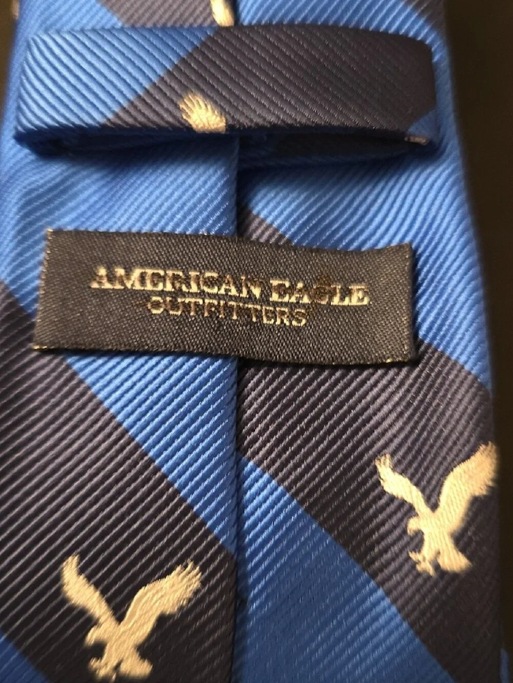 Blue Striped Eagle Motif Men's Tie AmericanEagle Outfitters 2013